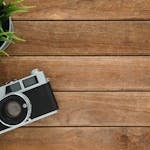 Retro camera and potted plant on wooden surface with copy space.